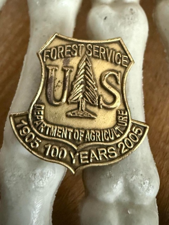 Vintage US Forest Service 1905-2005 Commemorative Pin - Gold Tone